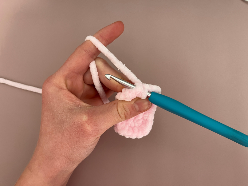 Insert your hook into the front of the next st